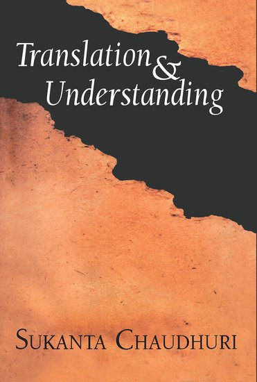 Translation and Understanding