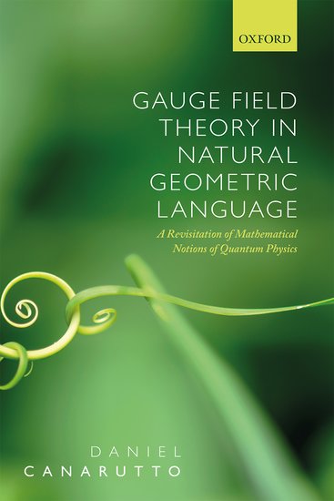 Gauge Field Theory in Natural Geometric Language