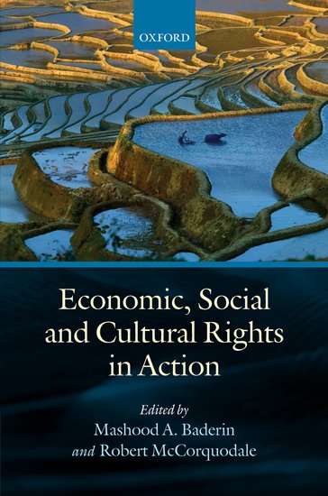 Economic, Social, and Cultural Rights in Action